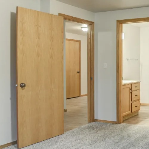 Modern Wood Interior Door