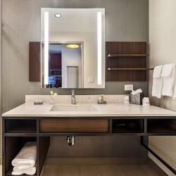 Bath Vanities with Wall Wood Panel and Shelf in Hilton Garden Inn