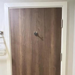 Bathroom Entry Wood Door with HPL Surface