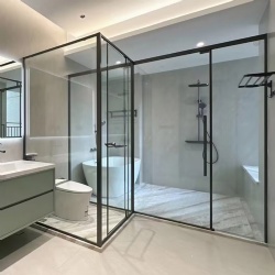 Bathroom Shower Partition and Pivot Opening Door