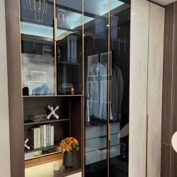 Closet and Wardrobe with Aluminum Glass Door