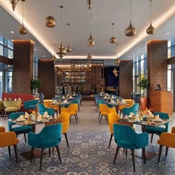 Custom Color Dining Chair for Restaurant Interior
