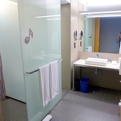 Frosted Glass Bathroom Partition and Shower Enclosure