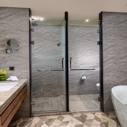 Glass Shower Partition and Swing Door