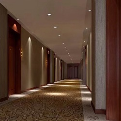 LED Downlight in Hotel Hallway