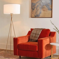 Lounge Chair with Floor Lamp