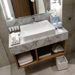 Marble Lavatory Countertop with Plywood Cabinet