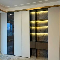 modern closet with wardrobe accessories